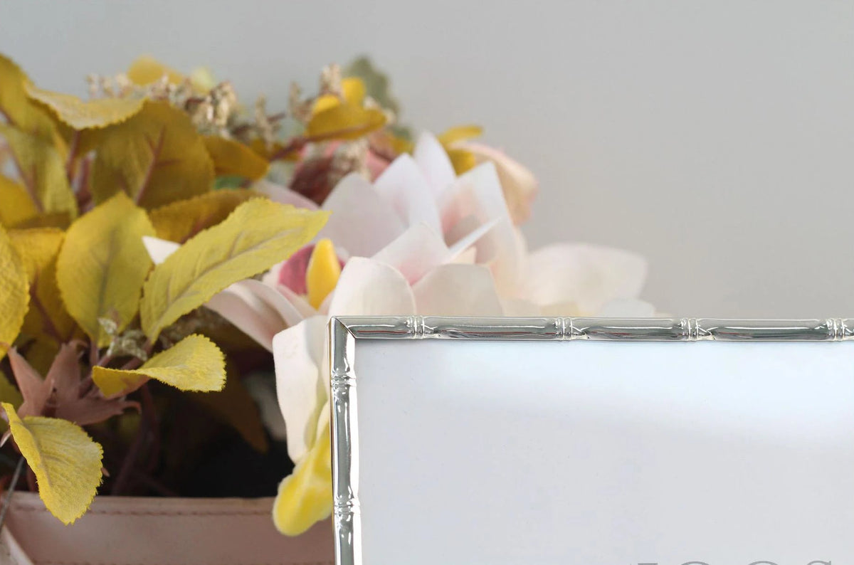 Verandah Silver Frame