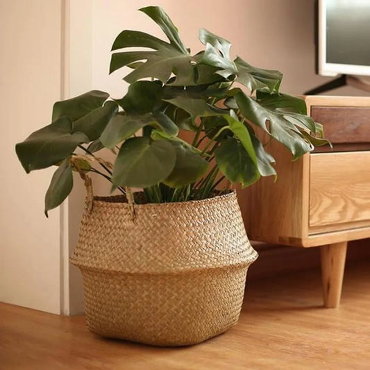 Woven Multi Basket